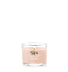 Yankee Candle Tranquil Garden Mini Candle